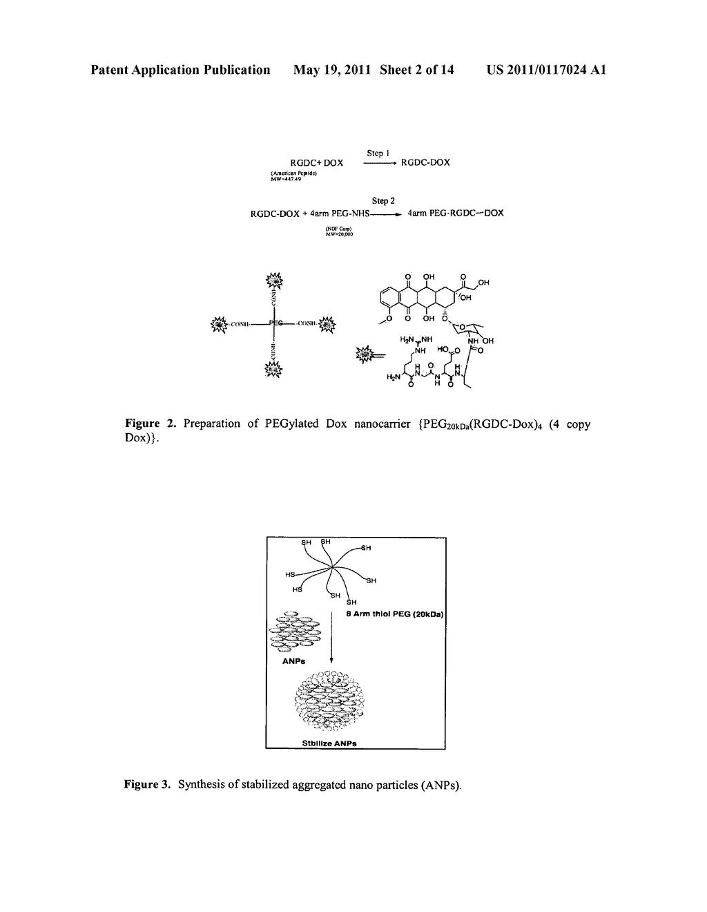 NANOCARRIER AND NANOGEL COMPOSITIONS - diagram, schematic, and image 03