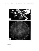 DEVICE AND METHOD FOR FLUORESCENCE-BASED IMAGING AND MONITORING diagram and image