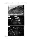 DEVICE AND METHOD FOR FLUORESCENCE-BASED IMAGING AND MONITORING diagram and image