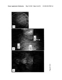 DEVICE AND METHOD FOR FLUORESCENCE-BASED IMAGING AND MONITORING diagram and image