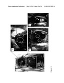 DEVICE AND METHOD FOR FLUORESCENCE-BASED IMAGING AND MONITORING diagram and image