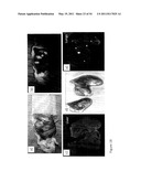 DEVICE AND METHOD FOR FLUORESCENCE-BASED IMAGING AND MONITORING diagram and image