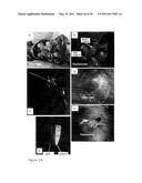 DEVICE AND METHOD FOR FLUORESCENCE-BASED IMAGING AND MONITORING diagram and image