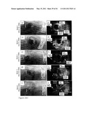 DEVICE AND METHOD FOR FLUORESCENCE-BASED IMAGING AND MONITORING diagram and image