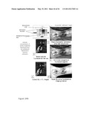 DEVICE AND METHOD FOR FLUORESCENCE-BASED IMAGING AND MONITORING diagram and image