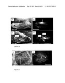 DEVICE AND METHOD FOR FLUORESCENCE-BASED IMAGING AND MONITORING diagram and image