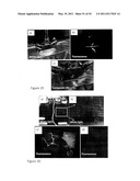 DEVICE AND METHOD FOR FLUORESCENCE-BASED IMAGING AND MONITORING diagram and image