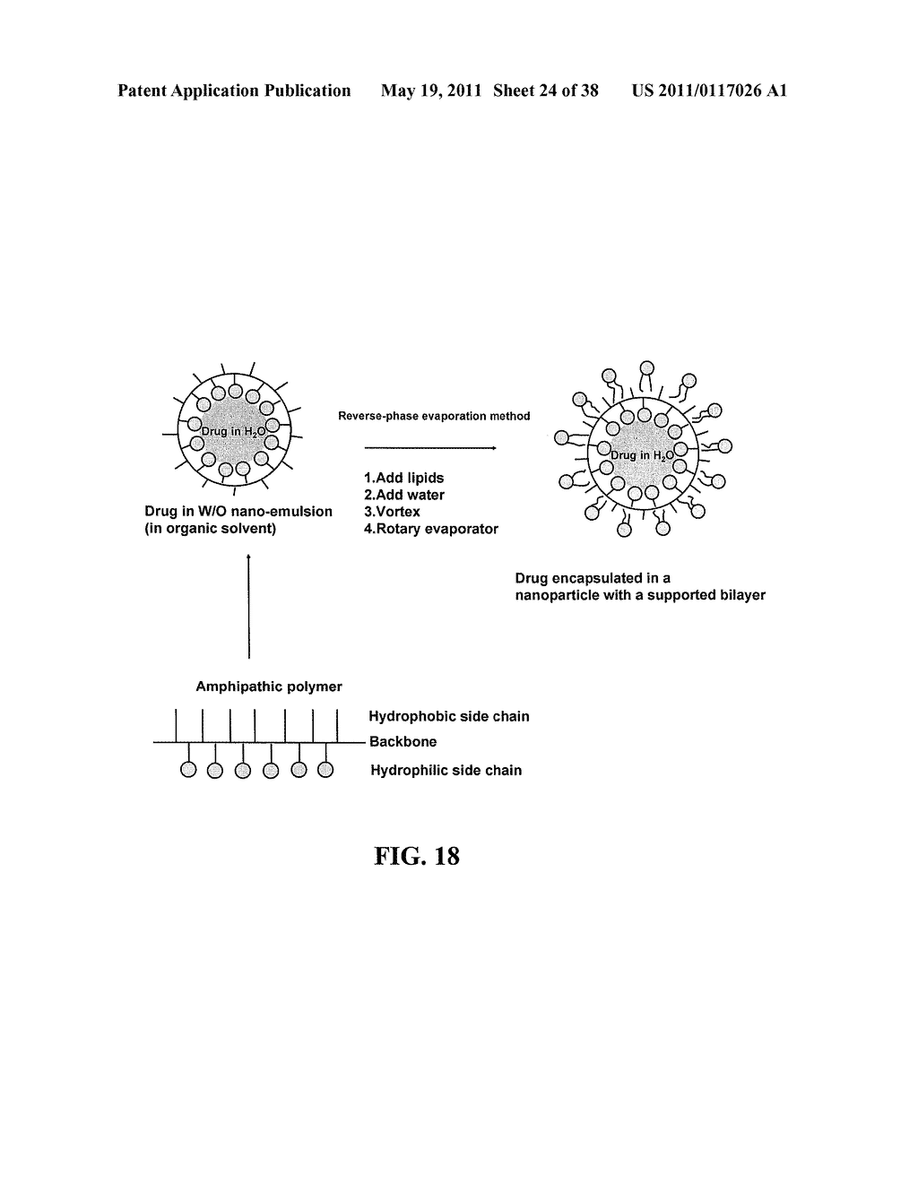 METHODS AND COMPOSITIONS FOR THE DELIVERY OF BIOACTIVE COMPOUNDS - diagram, schematic, and image 25