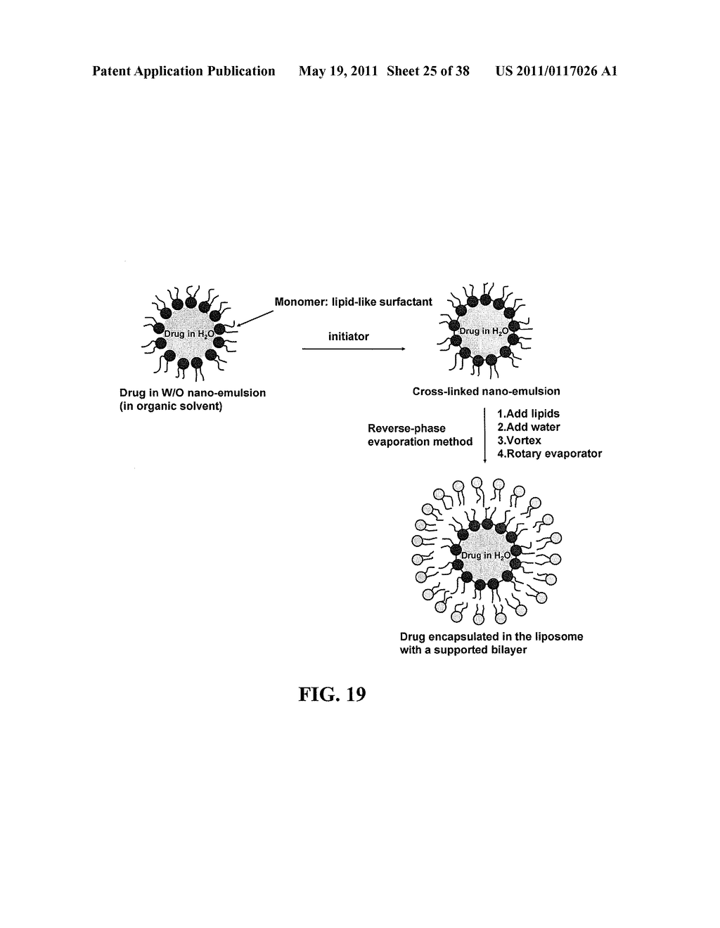 METHODS AND COMPOSITIONS FOR THE DELIVERY OF BIOACTIVE COMPOUNDS - diagram, schematic, and image 26