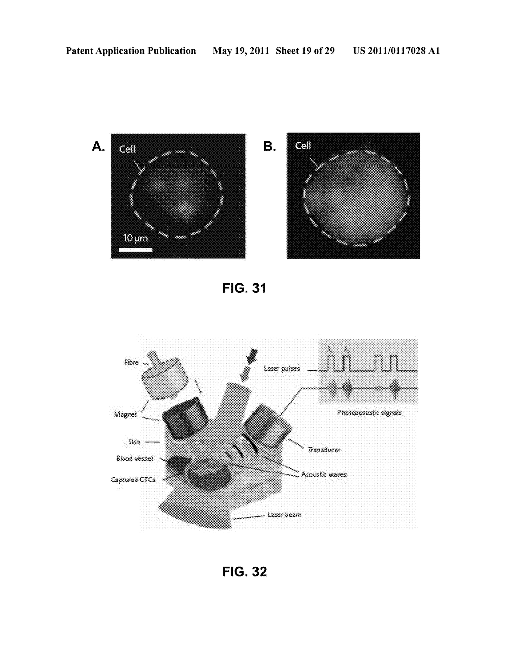 DEVICE AND METHOD FOR IN VIVO NONINVASIVE MAGNETIC MANIPULATION OF CIRCULATING OBJECTS IN BIOFLOWS - diagram, schematic, and image 20