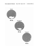 Methods of Treating Hepatitis C Virus with Oxoacetamide Compounds diagram and image