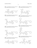 Methods of Treating Hepatitis C Virus with Oxoacetamide Compounds diagram and image