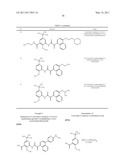 Methods of Treating Hepatitis C Virus with Oxoacetamide Compounds diagram and image