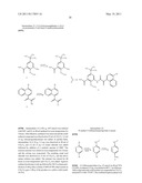 Methods of Treating Hepatitis C Virus with Oxoacetamide Compounds diagram and image