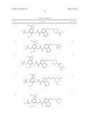 Methods of Treating Hepatitis C Virus with Oxoacetamide Compounds diagram and image