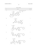 Methods of Treating Hepatitis C Virus with Oxoacetamide Compounds diagram and image