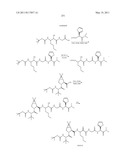 NOVEL PEPTIDES AS NS3-SERINE PROTEASE INHIBITORS OF HEPATITIS C VIRUS diagram and image