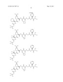 NOVEL PEPTIDES AS NS3-SERINE PROTEASE INHIBITORS OF HEPATITIS C VIRUS diagram and image