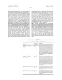 THERAPEUTIC DLL4 BINDING PROTEINS diagram and image