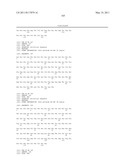 THERAPEUTIC DLL4 BINDING PROTEINS diagram and image