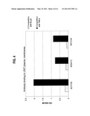 ANTIBODIES THAT IMMUNOSPECIFICALLY BIND TO B LYMPHOCYTE STIMULATOR PROTEIN diagram and image