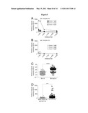 COMPOSITIONS AND METHODS FOR DIAGNOSIS, STRATIFICATION AND TREATMENT OF AMYLOIDOGENIC DISEASES diagram and image