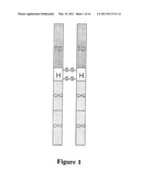 Neovascular-Targeted Immunoconjugates diagram and image