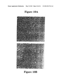 Neovascular-Targeted Immunoconjugates diagram and image