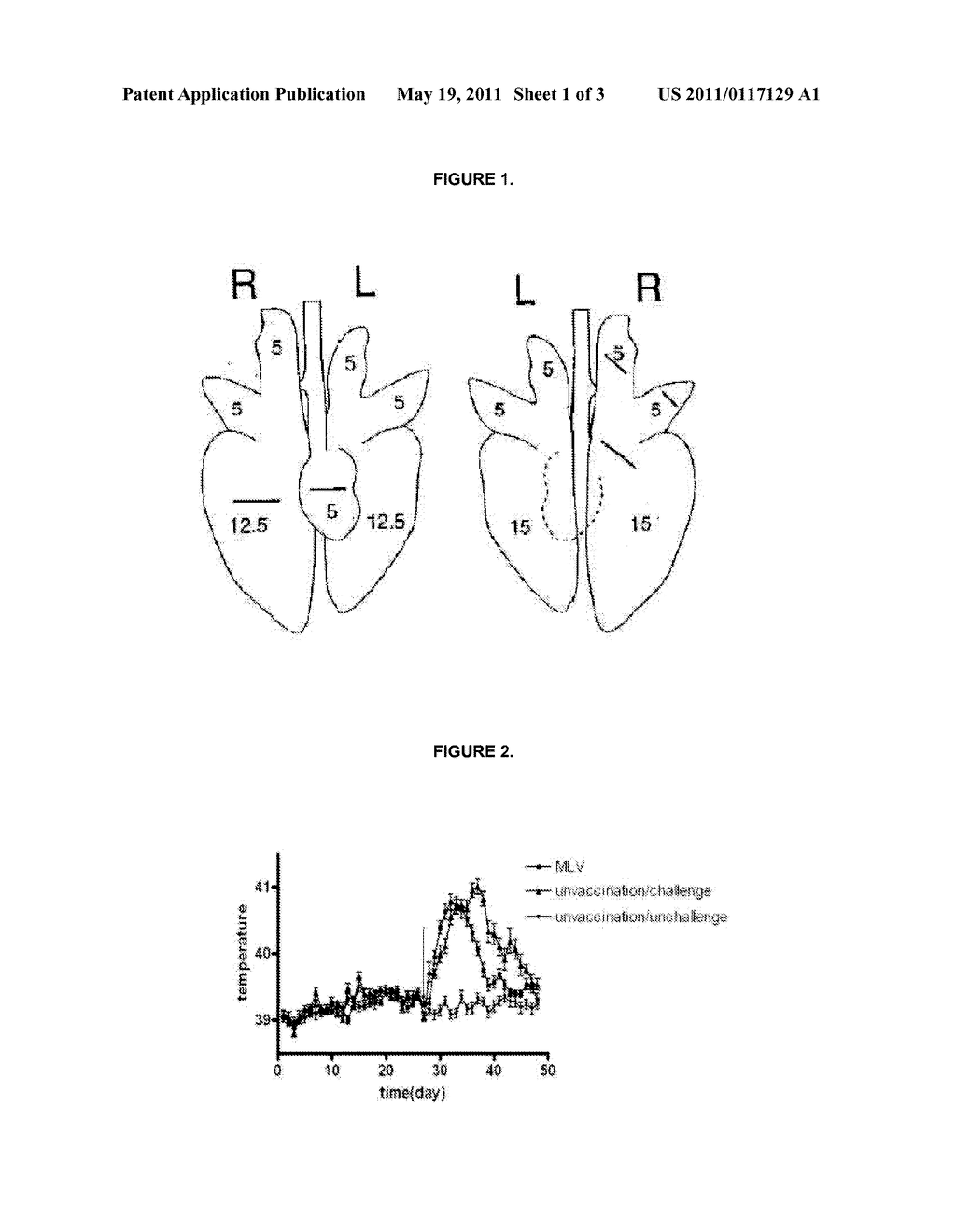 Vaccine Against Highly Pathogenic Porcine Reproductive and Respiratory Syndrome (HP PRRS) - diagram, schematic, and image 02