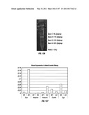 Isolated Renal Cells and Uses Thereof diagram and image