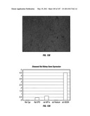 Isolated Renal Cells and Uses Thereof diagram and image