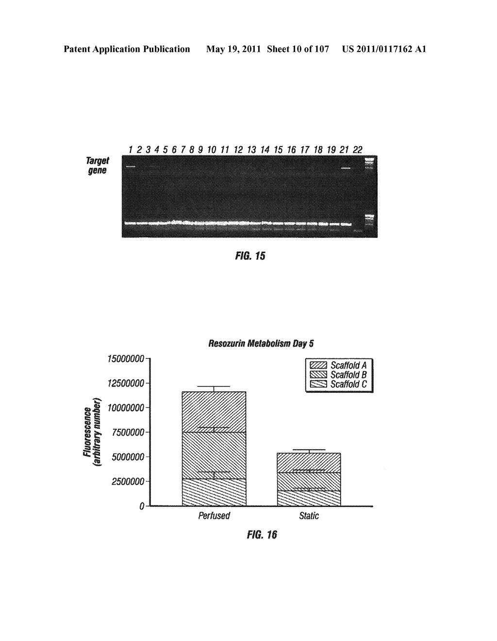 Isolated Renal Cells and Uses Thereof - diagram, schematic, and image 11