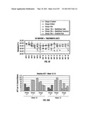 Isolated Renal Cells and Uses Thereof diagram and image