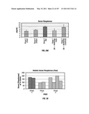 Isolated Renal Cells and Uses Thereof diagram and image