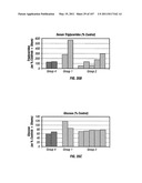 Isolated Renal Cells and Uses Thereof diagram and image