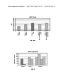 Isolated Renal Cells and Uses Thereof diagram and image