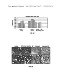 Isolated Renal Cells and Uses Thereof diagram and image