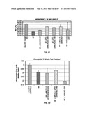 Isolated Renal Cells and Uses Thereof diagram and image