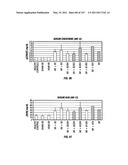 Isolated Renal Cells and Uses Thereof diagram and image