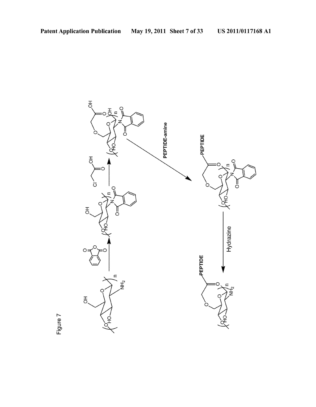 METHODS AND COMPOSITIONS FOR SOFT TISSUE REPAIR - diagram, schematic, and image 08