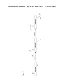 METHODS AND COMPOSITIONS FOR SOFT TISSUE REPAIR diagram and image