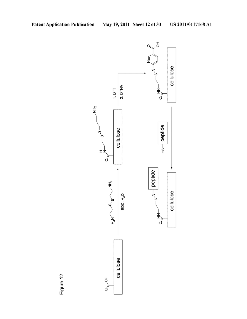 METHODS AND COMPOSITIONS FOR SOFT TISSUE REPAIR - diagram, schematic, and image 13