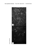 METHODS AND COMPOSITIONS FOR SOFT TISSUE REPAIR diagram and image