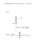 METHODS AND COMPOSITIONS FOR CAPTURE OF CELLS diagram and image