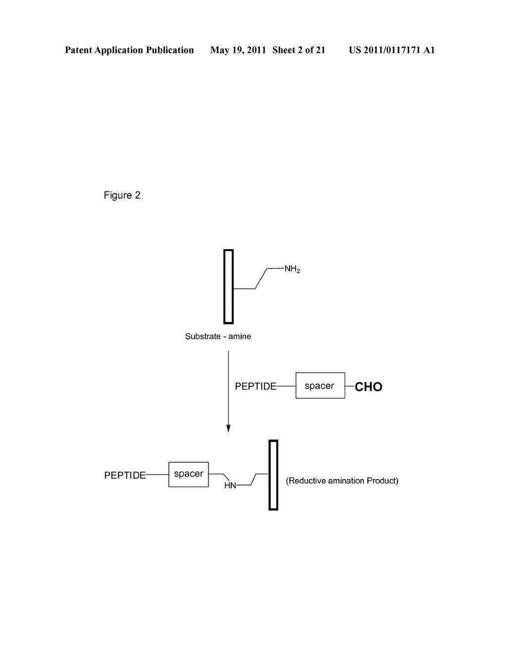 IMPLANTABLE BONE GRAFT MATERIALS - diagram, schematic, and image 03