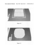 BIOMIMETIC DRY ADHESIVES AND METHODS OF PRODUCTION THEREFOR diagram and image