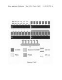 BIOMIMETIC DRY ADHESIVES AND METHODS OF PRODUCTION THEREFOR diagram and image