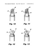 Device and method for tooth and gum cleaning for pets using a pen delivery and tooth gel diagram and image