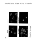 REAL TIME ELECTRONIC CELL SENSING SYSTEM AND APPLICATIONS FOR CYTOTOXICITY PROFILING AND COMPOUND ASSAYS diagram and image