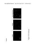 REAL TIME ELECTRONIC CELL SENSING SYSTEM AND APPLICATIONS FOR CYTOTOXICITY PROFILING AND COMPOUND ASSAYS diagram and image